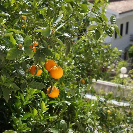Appartement Orizzonte D'acqua