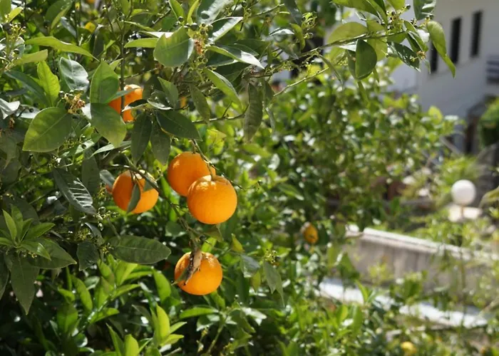 Apartment Orizzonte D'acqua